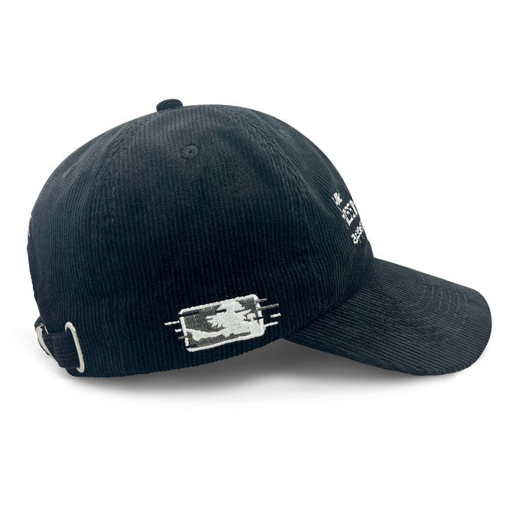MissingNo. Cap